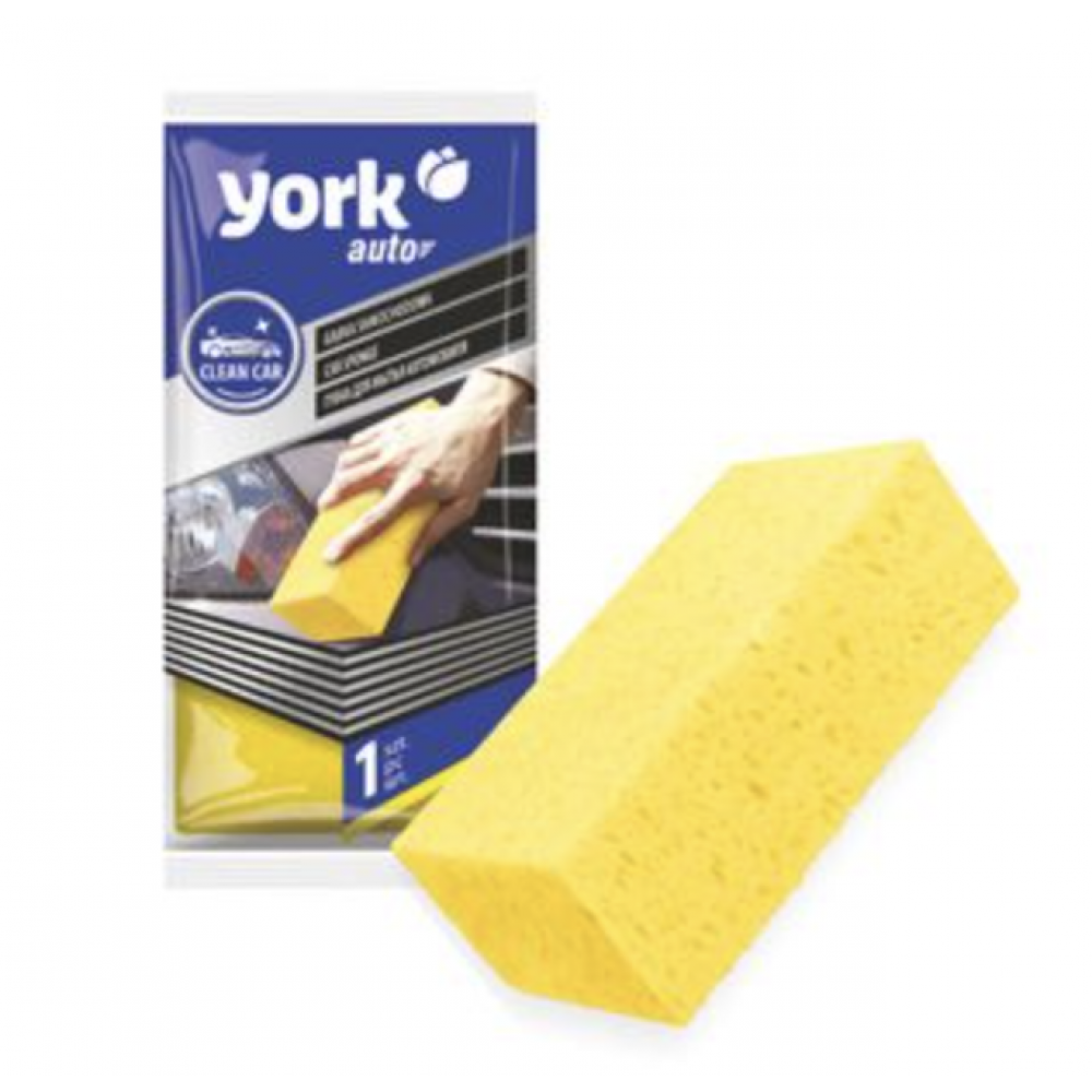 LARGE SPONGE