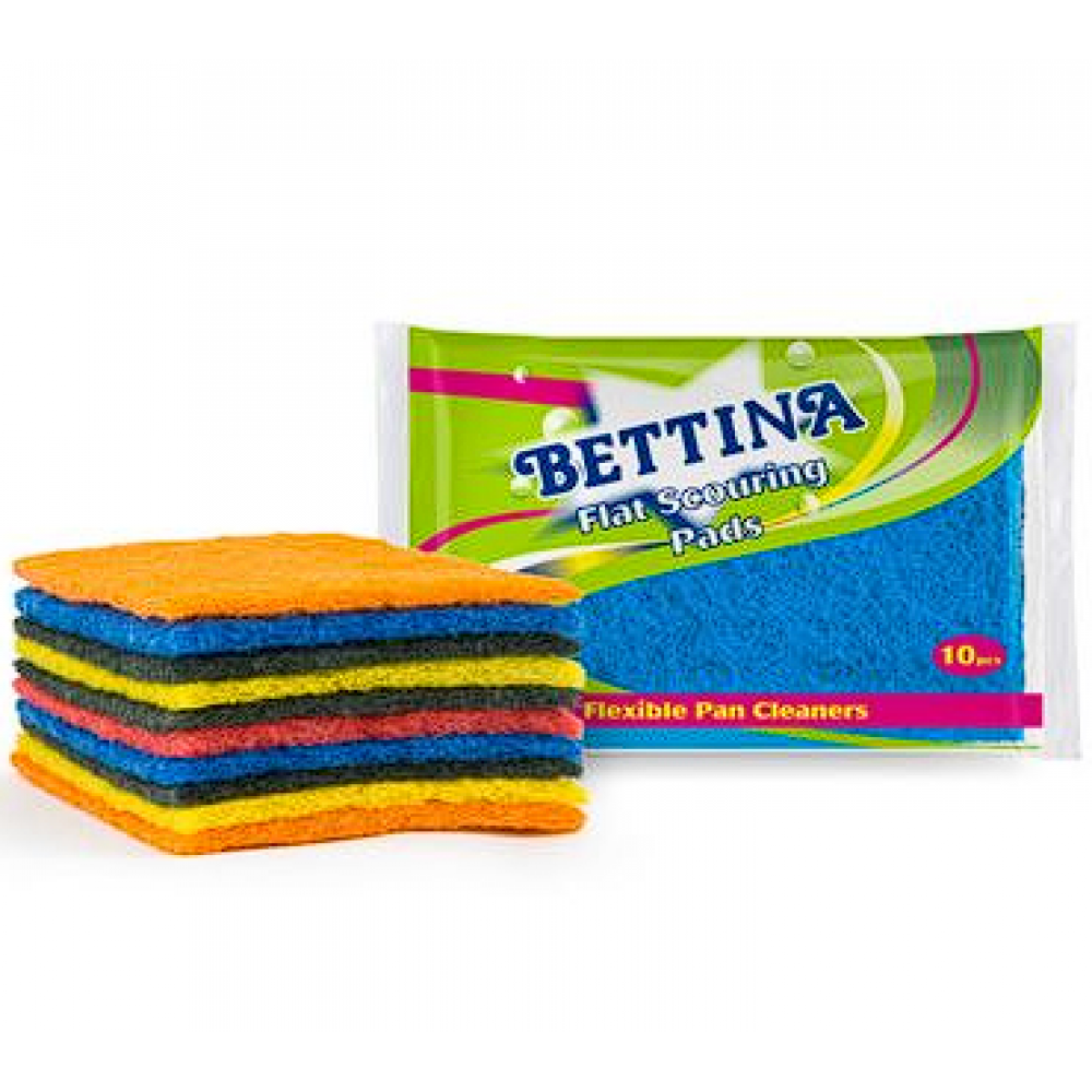 SCOURING PADS PACK 10 51350